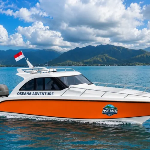 Private Speed Boat